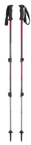 Black Diamond Trail Back Trek Poles