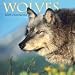 Wolves 2009 Calendar