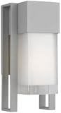 Clybourn Contemporary Outdoor Graphite Wall Sconce - 12 inches tall