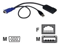 Avocent Anschlussadapter USB1.1 VGA Preisvergleich