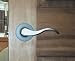 Snowbird Privacy Door Lever