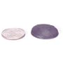 Bose 901 Type 1-1/8 Paper Dust Cap