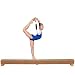 Sporting Goods : DGS 8' Suede Padded Balance Beam