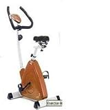 Omega CO-BD7 Triangular Magnetic Upright Indoor Exercise Bike (Copper Orange)