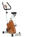 Omega CO-BD7 Triangular Magnetic Upright Indoor Exercise Bike (Copper Orange)
