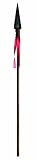 Rubie?s Costume Co   Avatar Navi Spear, Grey, One Size
