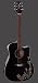 Takamine Acoustic/Electric Cutaway Guitar Dragon Finish EG531SC-DR