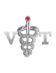 NursingPin - Veterinary Technician VT Graduation Pin in Silver with Ruby