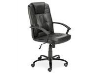 Childrens Toyshop  Kitchen & Housewares : FN-LEATHER FACED HIGH BACK EXECUTIVE OFFICE CHAIR
