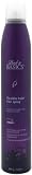 Back to Basics Flexible Hold Hair Spray 10.0 oz