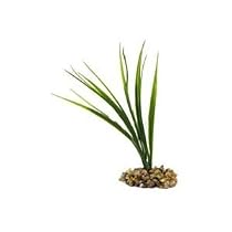 Css Plnt Sword Grass Sm Asst