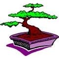 Bonsai Tree Address Labels