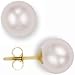 Jewelco London 9ct 5.5mm Premium Quality Cultured Pearl Stud Earrings