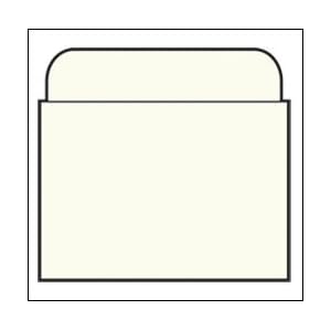 Plain Back Book Pockets - Economy Extra Low Back - No Date Grid - 3-1/4" H x 3-1/2" W x 2-1/2" D - 500pk