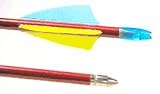 Economy Hardwood Target Arrow with 2 1/4 Feathers (1 Dozen)