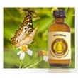 Innocence Scented Oil - Bonus Size 60 ml by Premium Home Fragrance Oil