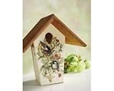 (the price is for 2)10in. Bird Illustration Nest Box