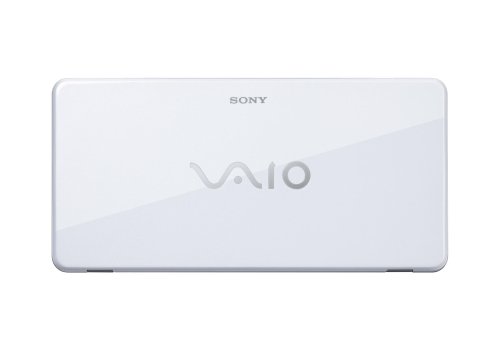 Sony VAIO VGN-P530H/W Lifestyle PC (1.33 GHz Intel Processor, 2 GB RAM, 60 GB Hard Drive with G-Sensor, Vista Basic) White
