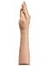 The Hand
