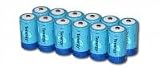 Buy 12 Pcs of D Size 10,000 mAh High Capacity High Rate NiMH Rechargeable Batteries by Tenergy