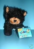 Lil Kinz Black Bear Small Ganz Webkinz