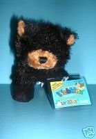 Lil Kinz Black Bear Small Ganz Webkinz