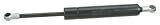 OES Genuine Tailgate Strut