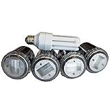 Cover of Westcott Studio Strobe 5 Pack, with Studio Slave Strobes, Master Strobe & Modeling Lamp