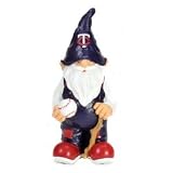 Minnesota Twins 11