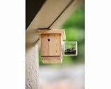 Bees N Things Carpenter Bee Trap Bees N Things Carpenter Bee Trap