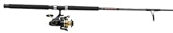 Penn Spinfisher Combo