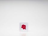 Zak Designs Marimekko Unikko Red Condiment Bowl 9Cm 6pc