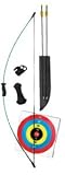 Bear Archery Wizard Bow Set (Right Hand/Left Hand)