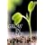 Grow in Grace
