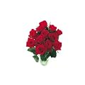 Red Roses - 12 Select Roses