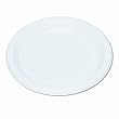 9" Plastic Round Plates, Reusable/Disposable, 125/PK, White, Sold as 1 pack