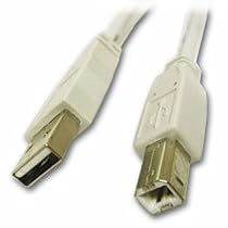 Cables To Go - 13401 - 5M (16.4ft) USB 2.0 A/B Cable (White)