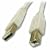Cables To Go - 13401 - 5M (16.4ft) USB 2.0 A/B Cable (White)