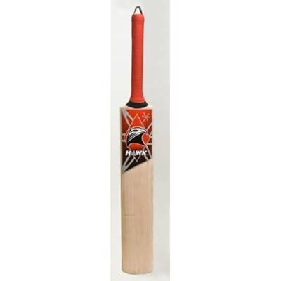 Hawk Runmaker Kashmir Willow Cricket  Bat (Short Handle, 1100-1125 g) 