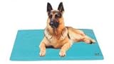 Pet Supplies : Soothsoft Innovations Soothsoft Canine Cooler 24 X 36