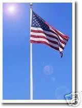 New 20' Foot Aluminum Sectional Flag Pole USA