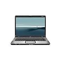 HP Compaq Business Notebook nc6230 - Pentium M 760 / 2 GHz - Centrino - RAM 1 GB - HDD 60 GB - CD-RW / DVD - Mobility Radeon X300 - Gigabit Ethernet - WLAN : Bluetooth, 802.11a/b/g - Win XP Pro - 14.1" TFT 1024 x 768 ( XGA )