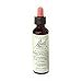 Bach Essence Honeysuckle 20 Milliliters