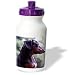 dachshund33 - Dogs Dachshund Black Dachshund Water Bottles
