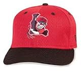 Minor League Baseball Cap - Lowell Spinners Batting Practice Cap by New Era (6 7/8)