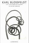 Karl Blossfeldt - Licht an Der Grenze Des Sichtbaren - Die Berliner Sammlung de Dieter Appelt