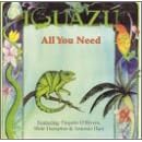 Click here to buy All You Need by  Iguazu .