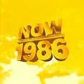 Now That's What I Call Music 1986 - 10th Anniversary
