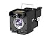 Toshiba Replacement Projector Lamp (TLP-LV8)