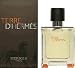 Terre D'Hermes by Hermes for Men Eau de Toilette Spray 3.4 oz